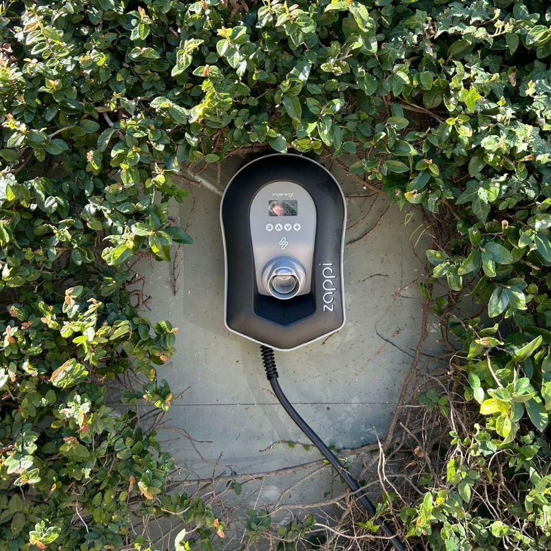 black zappi ev charger mounted on the wall surrounded by green plants